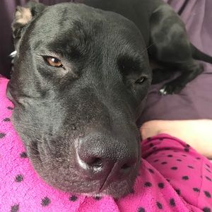 Meet your Posher, Caitlin